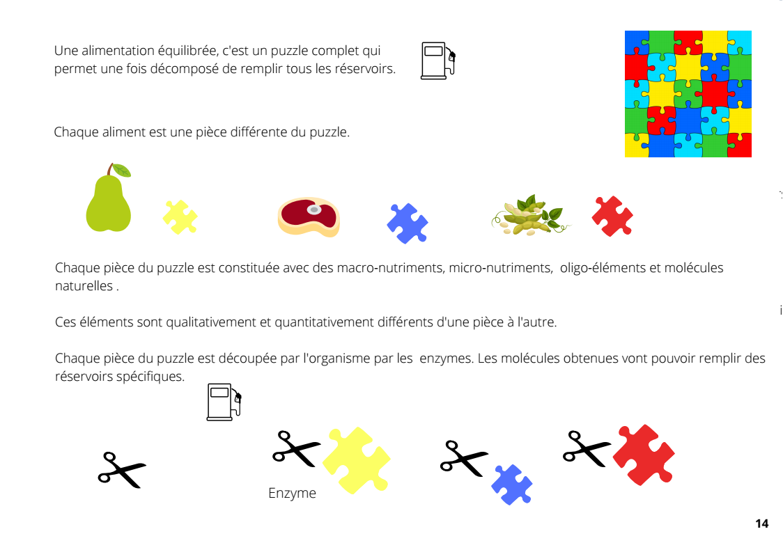 schema puzzle