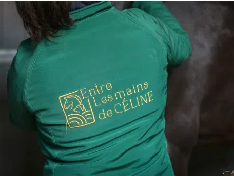 logo avec un cheval et un chien entre les mains de celine