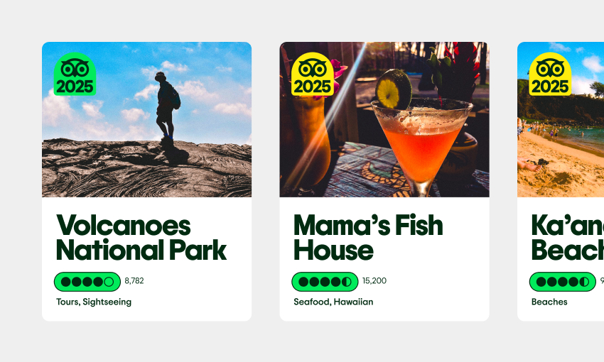 avis tripadvisor nouveau brannding rebranding trip advisor graphiste freelance rennes